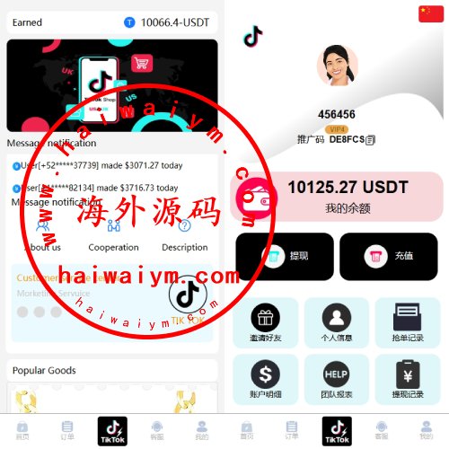 海外TIKTOK抢单刷单系统/多语言刷单/打针/重置订单